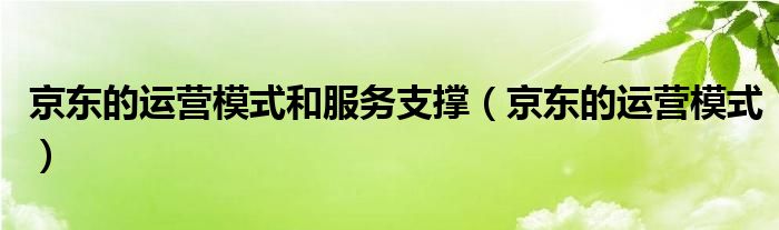 京东的运营模式和服务支撑（京东的运营模式）