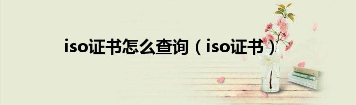 iso证书怎么查询（iso证书）