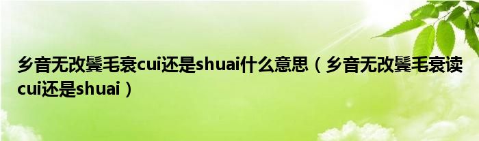 乡音无改鬓毛衰cui还是shuai什么意思（乡音无改鬓毛衰读cui还是shuai）