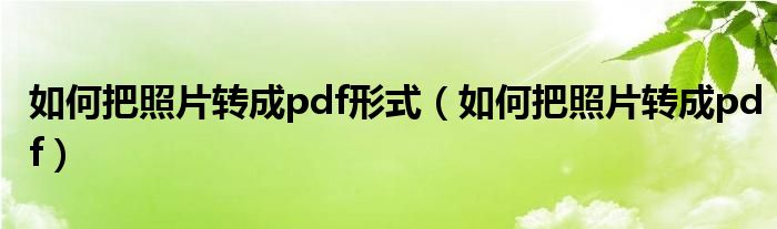 如何把照片转成pdf形式（如何把照片转成pdf）