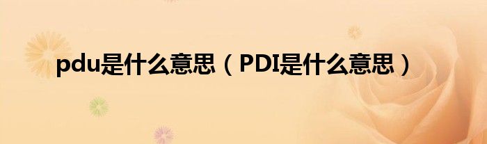 pdu是什么意思（PDI是什么意思）