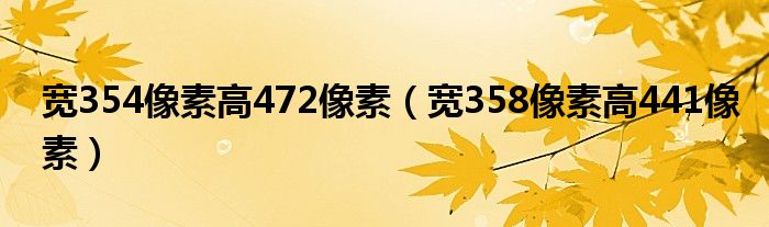 宽354像素高472像素（宽358像素高441像素）