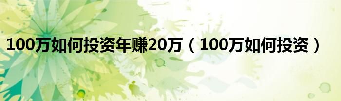 100万如何投资年赚20万（100万如何投资）