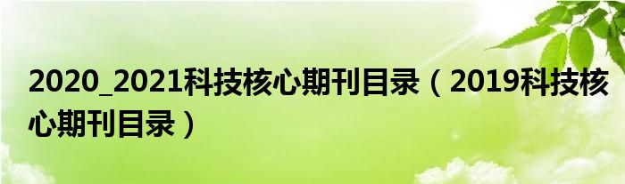 2020_2021科技核心期刊目录（2019科技核心期刊目录）