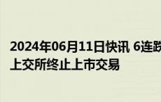 2024年06月11日快讯 6连跌停股*ST九有：公司股票可能被上交所终止上市交易