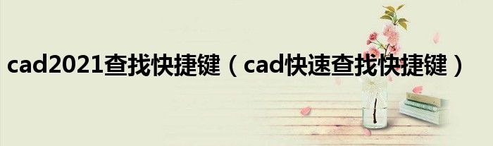 cad2021查找快捷键（cad快速查找快捷键）