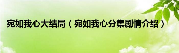 宛如我心大结局（宛如我心分集剧情介绍）