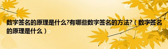 数字签名的原理是什么?有哪些数字签名的方法?（数字签名的原理是什么）