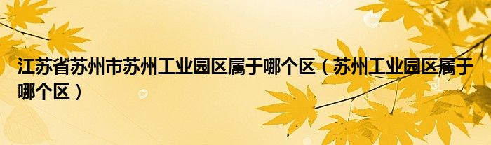 江苏省苏州市苏州工业园区属于哪个区（苏州工业园区属于哪个区）