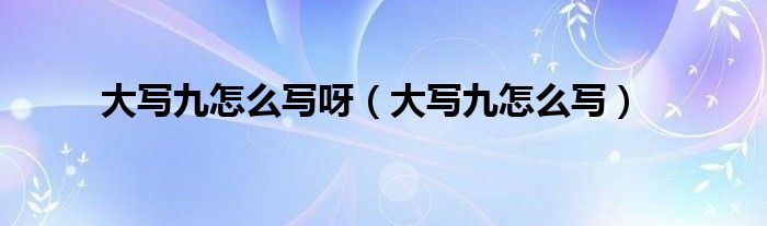 大写九怎么写呀（大写九怎么写）