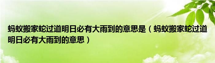 蚂蚁搬家蛇过道明日必有大雨到的意思是（蚂蚁搬家蛇过道明日必有大雨到的意思）