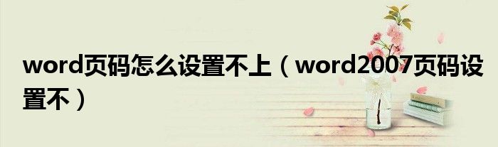 word页码怎么设置不上（word2007页码设置不）