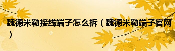 魏德米勒接线端子怎么拆（魏德米勒端子官网）