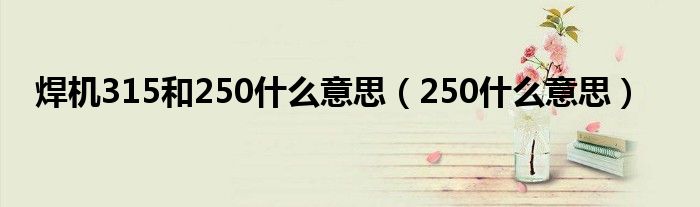 焊机315和250什么意思（250什么意思）