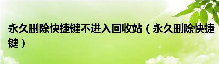 永久删除快捷键不进入回收站（永久删除快捷键）