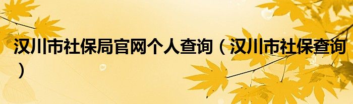 汉川市社保局官网个人查询（汉川市社保查询）