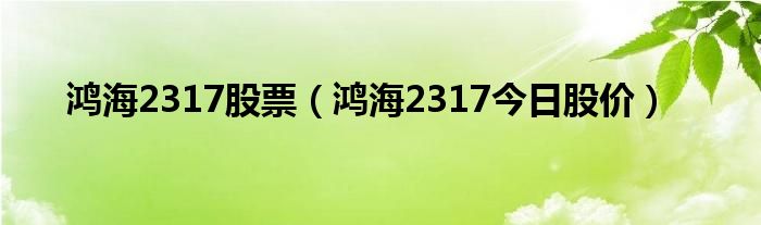 鸿海2317股票（鸿海2317今日股价）