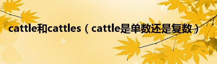 cattle和cattles（cattle是单数还是复数）