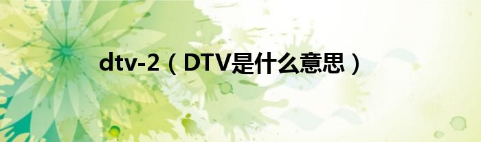 dtv-2（DTV是什么意思）