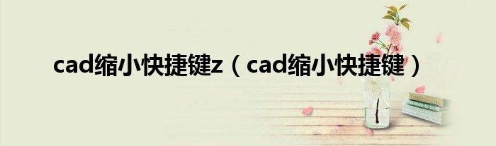 cad缩小快捷键z（cad缩小快捷键）