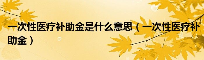 一次性医疗补助金是什么意思（一次性医疗补助金）