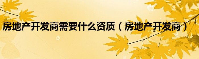 房地产开发商需要什么资质（房地产开发商）