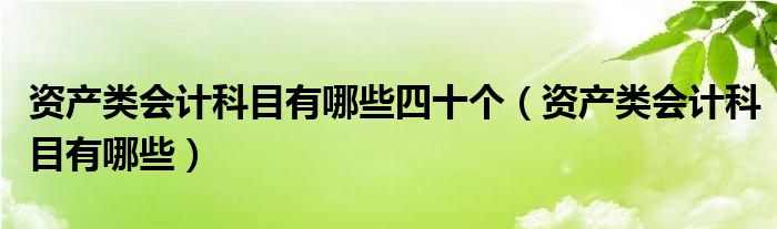 资产类会计科目有哪些四十个（资产类会计科目有哪些）