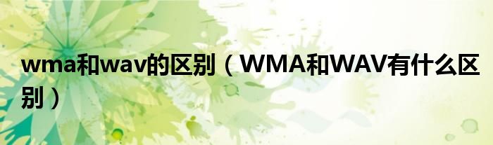 wma和wav的区别（WMA和WAV有什么区别）