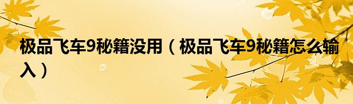 极品飞车9秘籍没用（极品飞车9秘籍怎么输入）