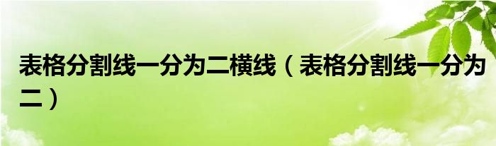 表格分割线一分为二横线（表格分割线一分为二）