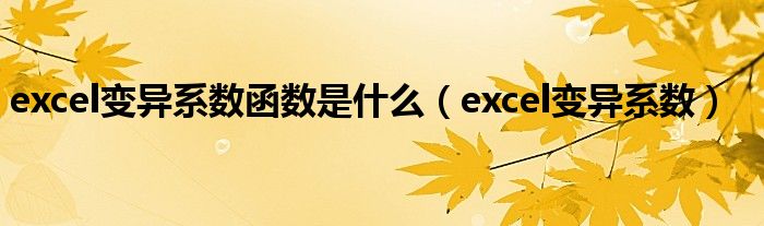 excel变异系数函数是什么（excel变异系数）