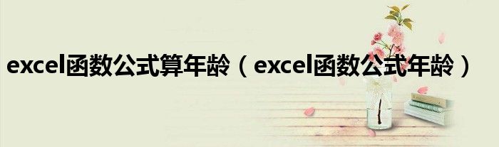 excel函数公式算年龄（excel函数公式年龄）