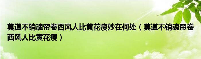 莫道不销魂帘卷西风人比黄花瘦妙在何处（莫道不销魂帘卷西风人比黄花瘦）