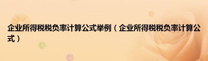 企业所得税税负率计算公式举例（企业所得税税负率计算公式）