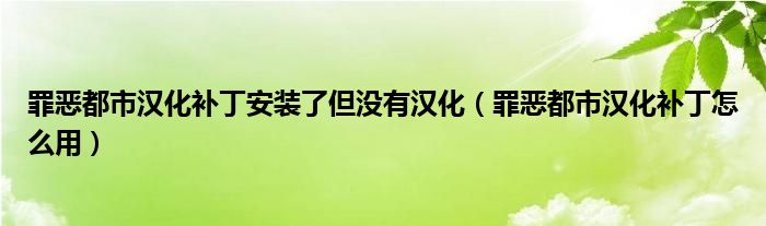 罪恶都市汉化补丁安装了但没有汉化（罪恶都市汉化补丁怎么用）