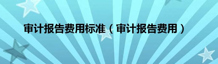 审计报告费用标准（审计报告费用）