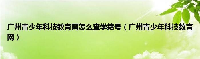 广州青少年科技教育网怎么査学籍号（广州青少年科技教育网）