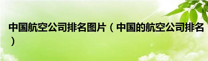 中国航空公司排名图片（中国的航空公司排名）