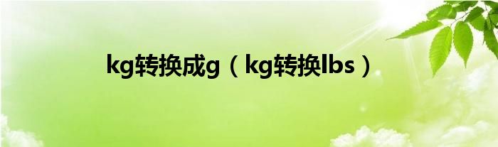 kg转换成g（kg转换lbs）