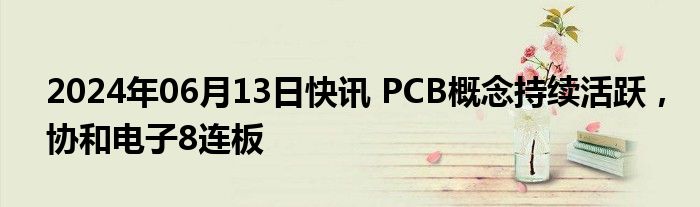 2024年06月13日快讯 PCB概念持续活跃，协和电子8连板