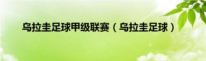 乌拉圭足球甲级联赛（乌拉圭足球）