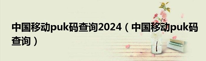 中国移动puk码查询2024（中国移动puk码查询）