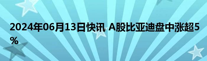 2024年06月13日快讯 A股比亚迪盘中涨超5%