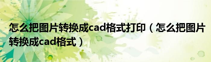 怎么把图片转换成cad格式打印（怎么把图片转换成cad格式）