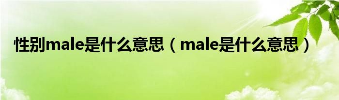 性别male是什么意思（male是什么意思）