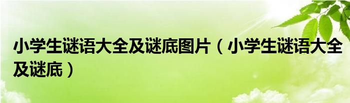 小学生谜语大全及谜底图片（小学生谜语大全及谜底）