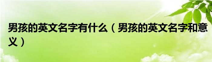 男孩的英文名字有什么（男孩的英文名字和意义）