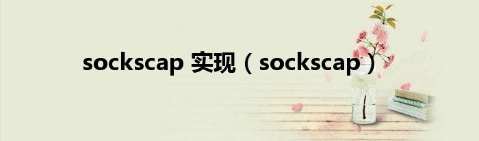 sockscap 实现（sockscap）