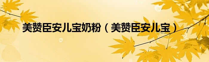 美赞臣安儿宝奶粉（美赞臣安儿宝）