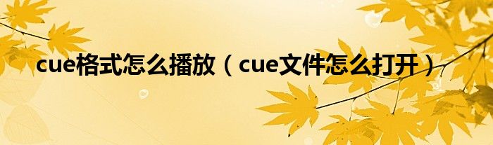 cue格式怎么播放（cue文件怎么打开）